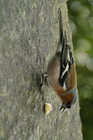 Cover of Chaffinch Eating, Birds of the World