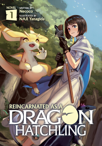 Book cover for Reincarnated as a Dragon Hatchling (Light Novel) Vol. 1