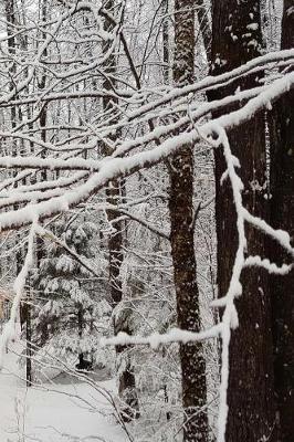 Cover of Winter Season Journal Pretty Forest