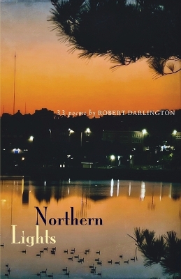 Book cover for Northern Lights