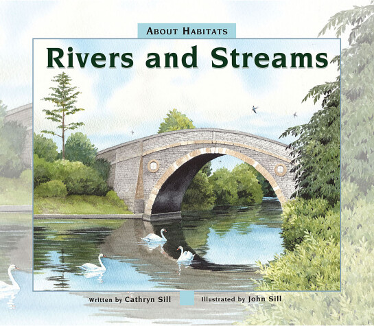 Book cover for Rivers and Streams