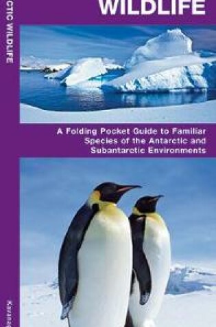 Cover of Antarctic Wildlife