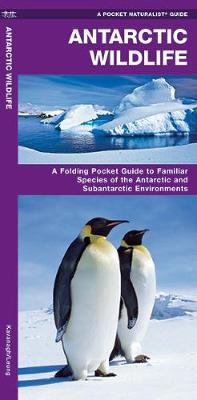 Cover of Antarctic Wildlife