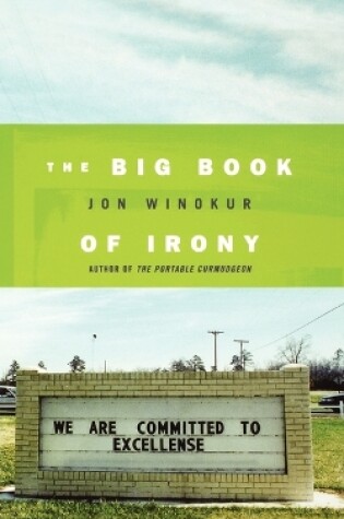 Cover of The Big Book of Irony