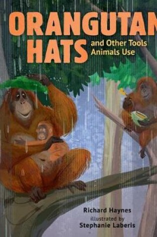 Cover of Orangutan Hats and Other Tools Animals Use