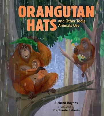 Book cover for Orangutan Hats and Other Tools Animals Use