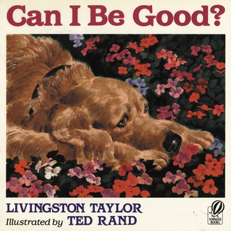 Book cover for Can I be Good /R
