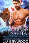 Book cover for Bad Bear Santa