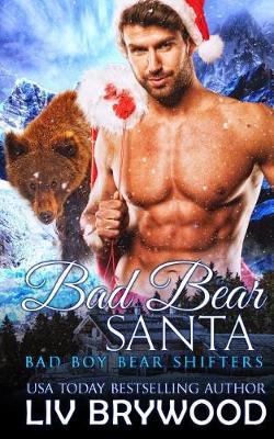 Book cover for Bad Bear Santa