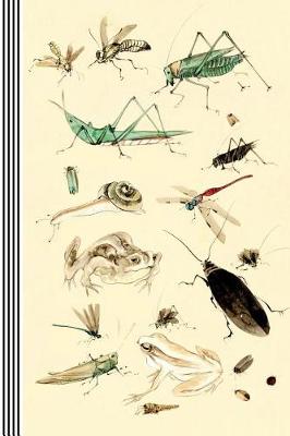 Book cover for Insects Illustrations Journal Entomology Biology