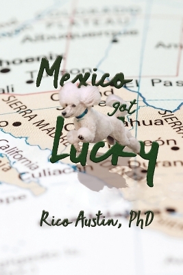 Book cover for Mexico Got Lucky