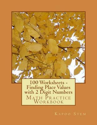 Book cover for 100 Worksheets - Finding Place Values with 2 Digit Numbers