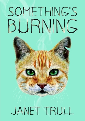 Book cover for Something's Burning