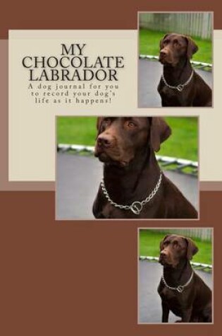 Cover of My Chocolate Labrador