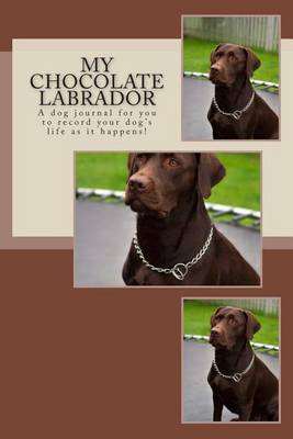 Book cover for My Chocolate Labrador