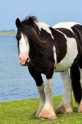 Book cover for Irish Cob Horse by the Water Journal