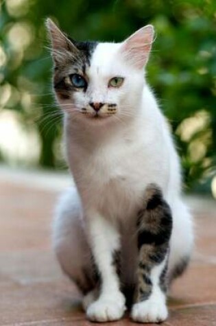 Cover of Turkish Van Cat Journal One Eye Two Eye Blue Eye Green Eye