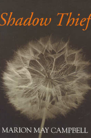 Cover of Shadow Thief