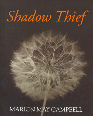 Book cover for Shadow Thief