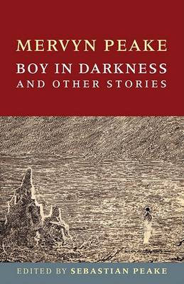 Book cover for Boy in Darkness and Other Stories