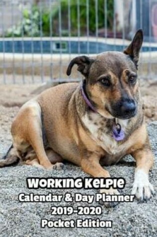 Cover of Working Kelpie Calendar & Day Planner 2019-2020 Pocket Edition