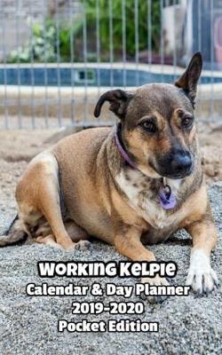 Book cover for Working Kelpie Calendar & Day Planner 2019-2020 Pocket Edition