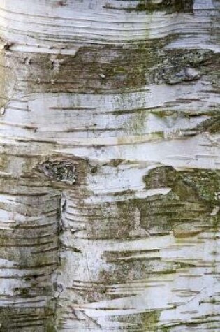 Cover of The Bark of a Birch Tree in the Woods Journal