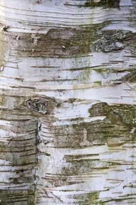 Book cover for The Bark of a Birch Tree in the Woods Journal