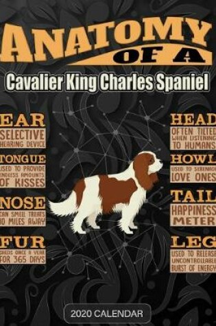Cover of Anatomy Of A Cavalier King Charles Spaniel