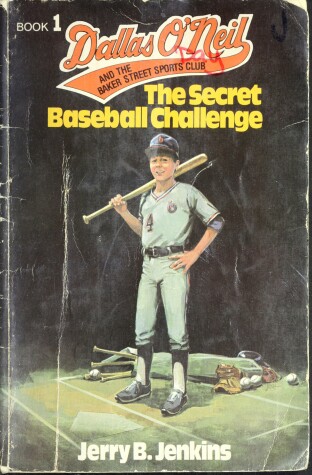 Book cover for Secret Baseball Challenge