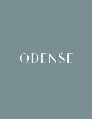 Book cover for Odense
