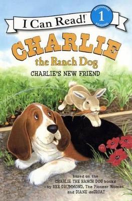Book cover for Charlie's New Friend