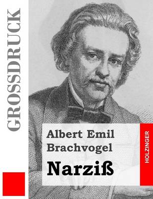 Book cover for Narziss (Grossdruck)