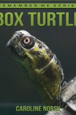 Cover of Box Turtles