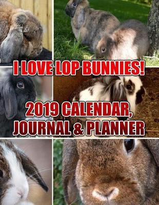 Book cover for I Love Lop Bunnies! 2019 Calendar, Journal & Planner