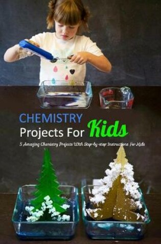 Cover of Chemistry Projects For Kids