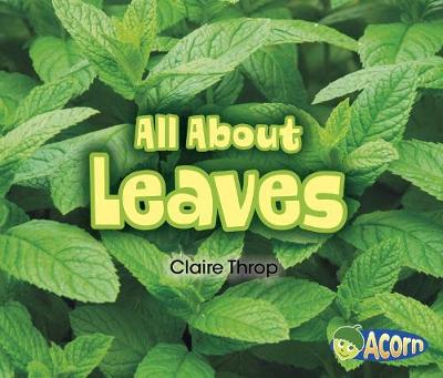 Book cover for All About Plants All About Leaves