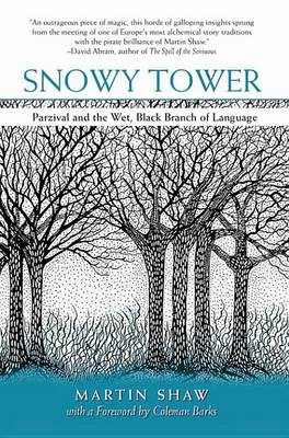 Book cover for Snowy Tower