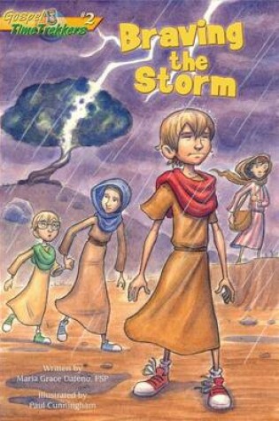 Cover of Braving the Storm