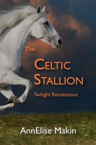 Cover of The Celtic Stallion
