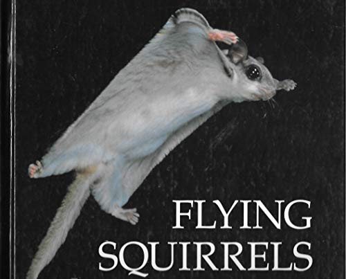 Book cover for Flying Squirrels