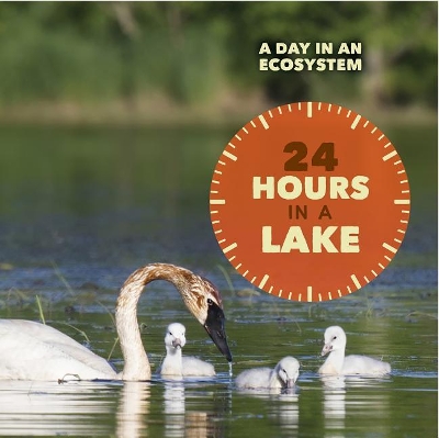 Cover of 24 Hours in a Lake