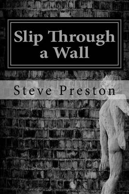 Book cover for Slip Through a Wall