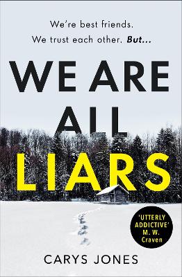 Book cover for We Are All Liars