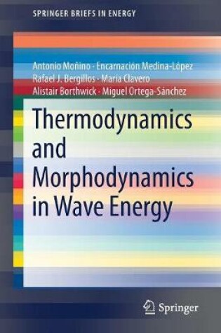 Cover of Thermodynamics and Morphodynamics in Wave Energy