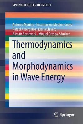 Book cover for Thermodynamics and Morphodynamics in Wave Energy