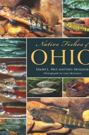 Cover of Native Fishes of Ohio