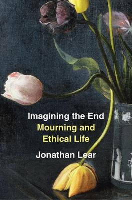 Book cover for Imagining the End