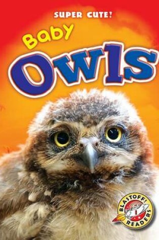 Cover of Baby Owls