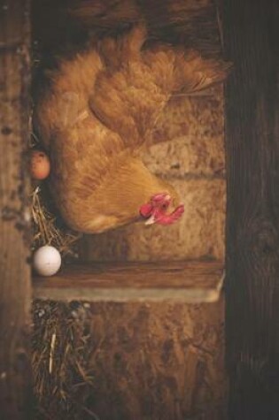 Cover of A Chicken in the Barn with Eggs